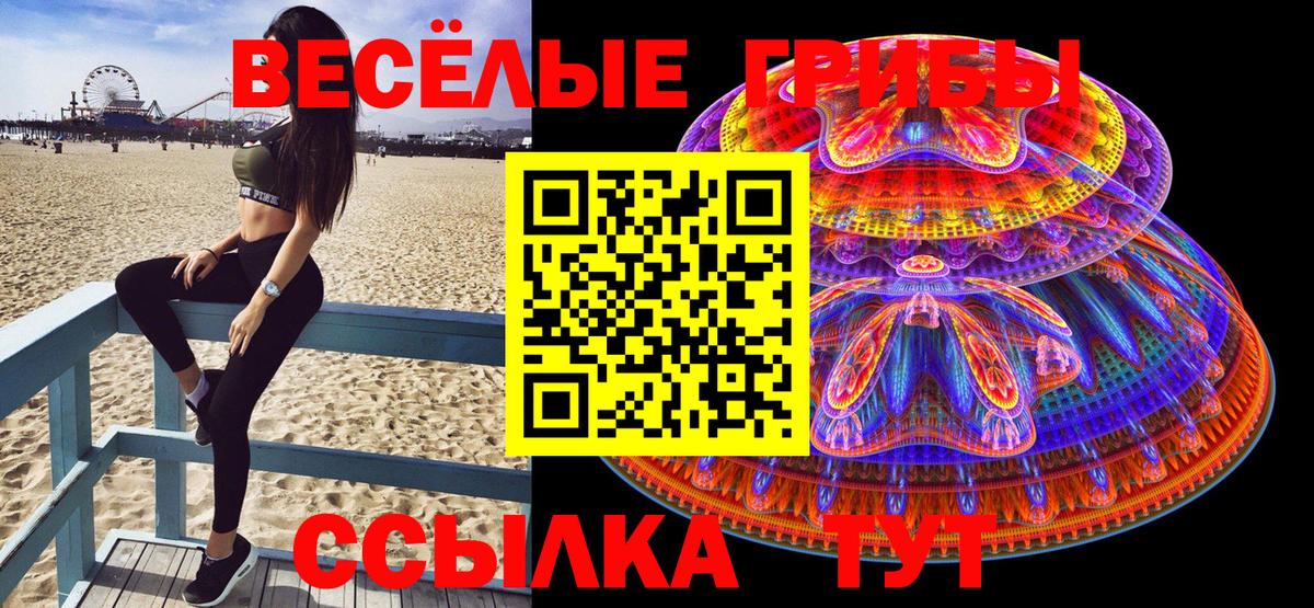 Псилоцибиновые грибы Psilocybe Великие Луки